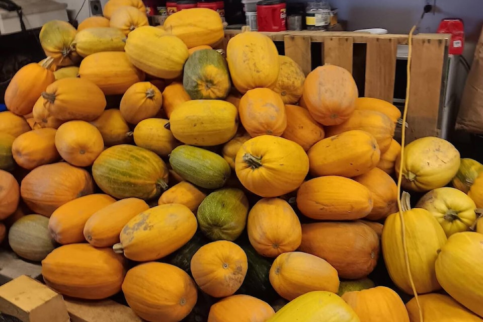 web1_231116-saa-squash-_1