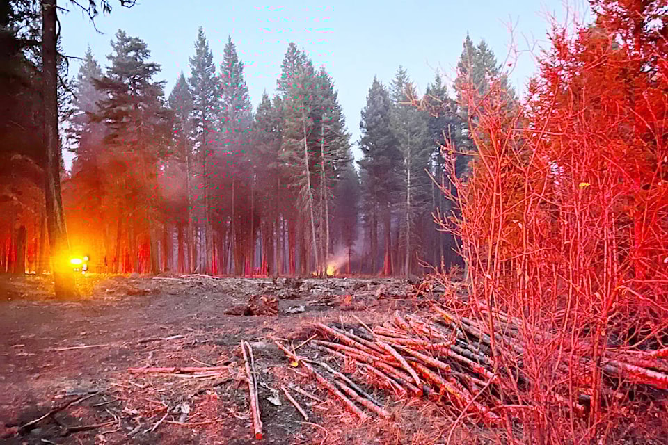 Some open flame is visible in an area burning as part of a fuel management project aimed at reducing wildfire hazard near residential areas. Residents called 9-1-1 on Nov. 13 and Williams Lake Fire Department attended the fire. (Photo submitted) 
