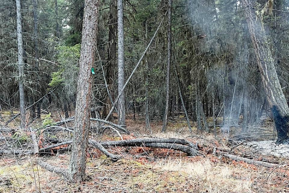 Nearest 2025 ross department