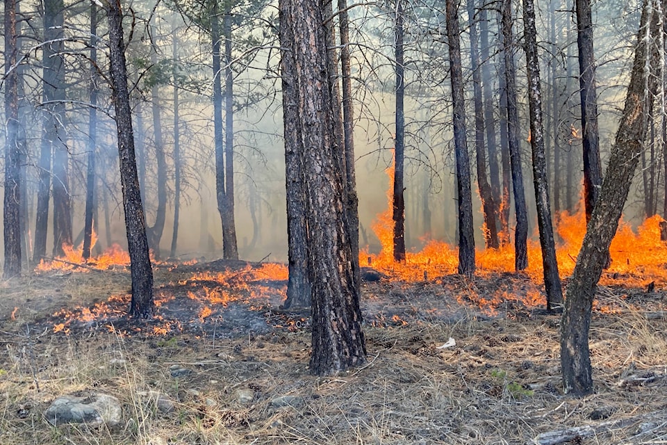 web1_231117-cdt-wildfiremitigation-aqamburn_1