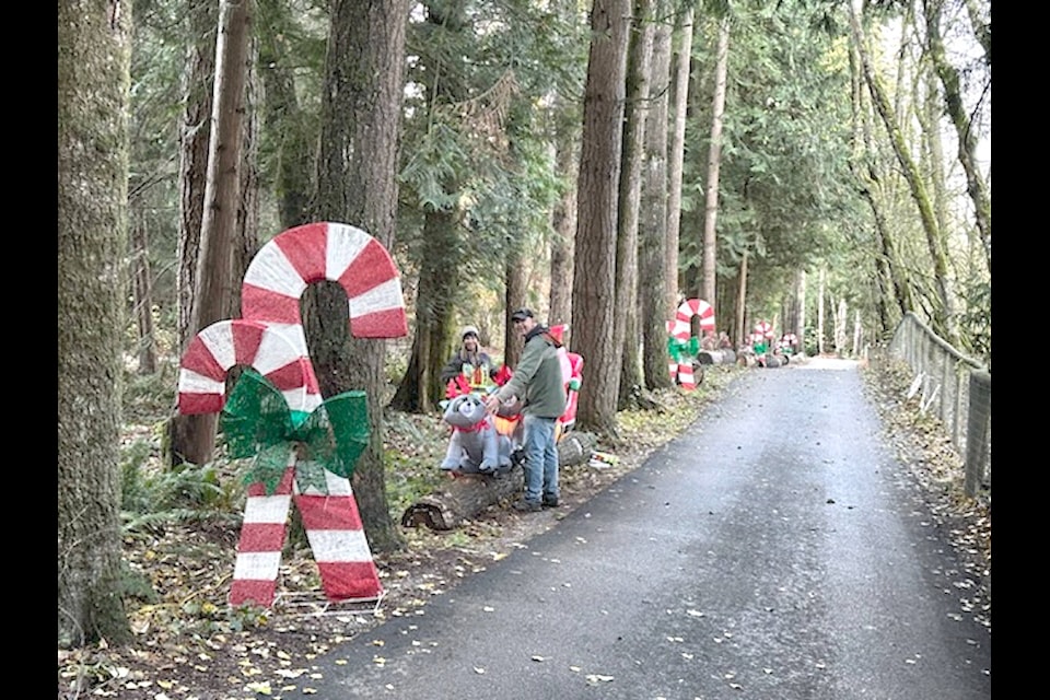 Township staffers were working to install decorations in Williams Park this week. On Saturday, volunteers will be needed to string lights, zap strap decorations and check for damage as preparations continue. (Special to 91ԭ Advance Times) 