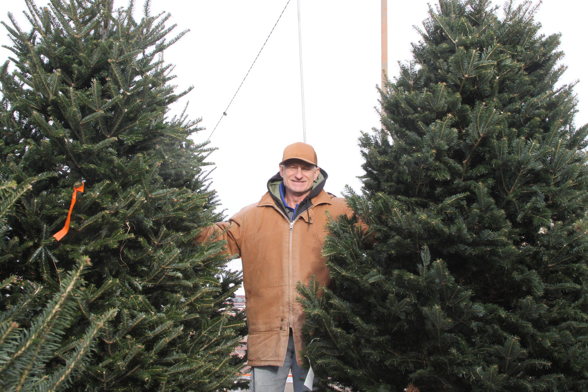 Red Deer Christmas tree lot moves after 40 years Red Deer Advocate