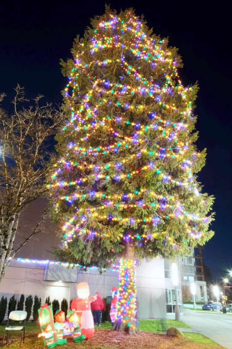 web1_231130-ndr-m-north-delta-christmas-tree-lighting-31