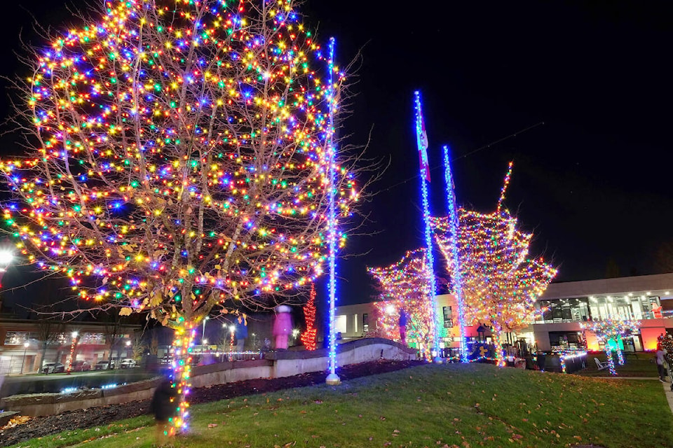 web1_231130-ndr-m-north-delta-christmas-tree-lighting-37