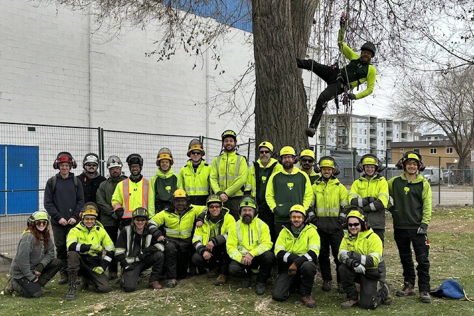 Bartlett Tree Experts held their annual aerial training session in Kelowna on Wednesday, Nov. 29. (Bartlett Tree Experts/Contributed) 