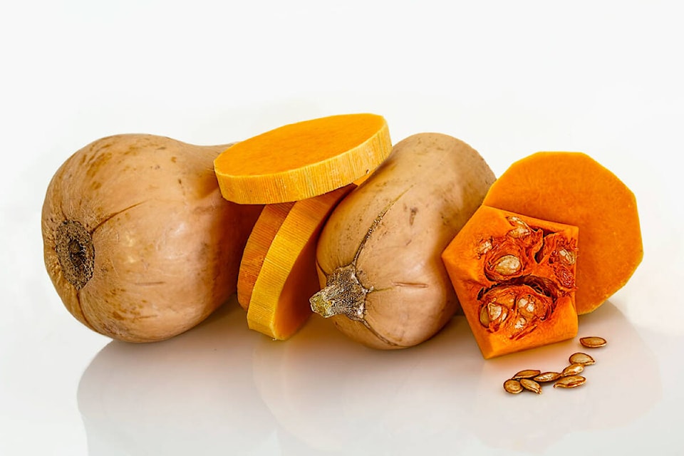 web1_butternut-squash-399415_1920--1-