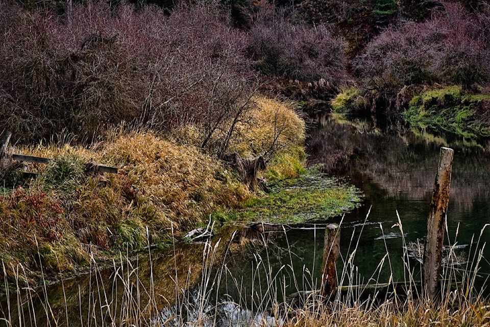 web1_rsz-morning-light-2