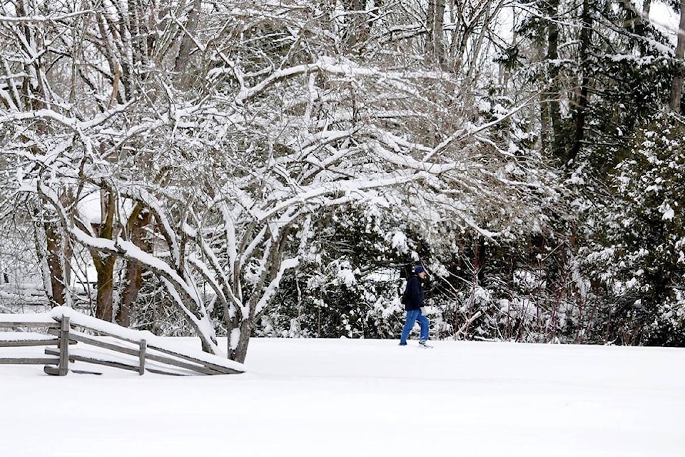 web1_180223-lat-m-170920-lat-campbellvalleysnowpic1