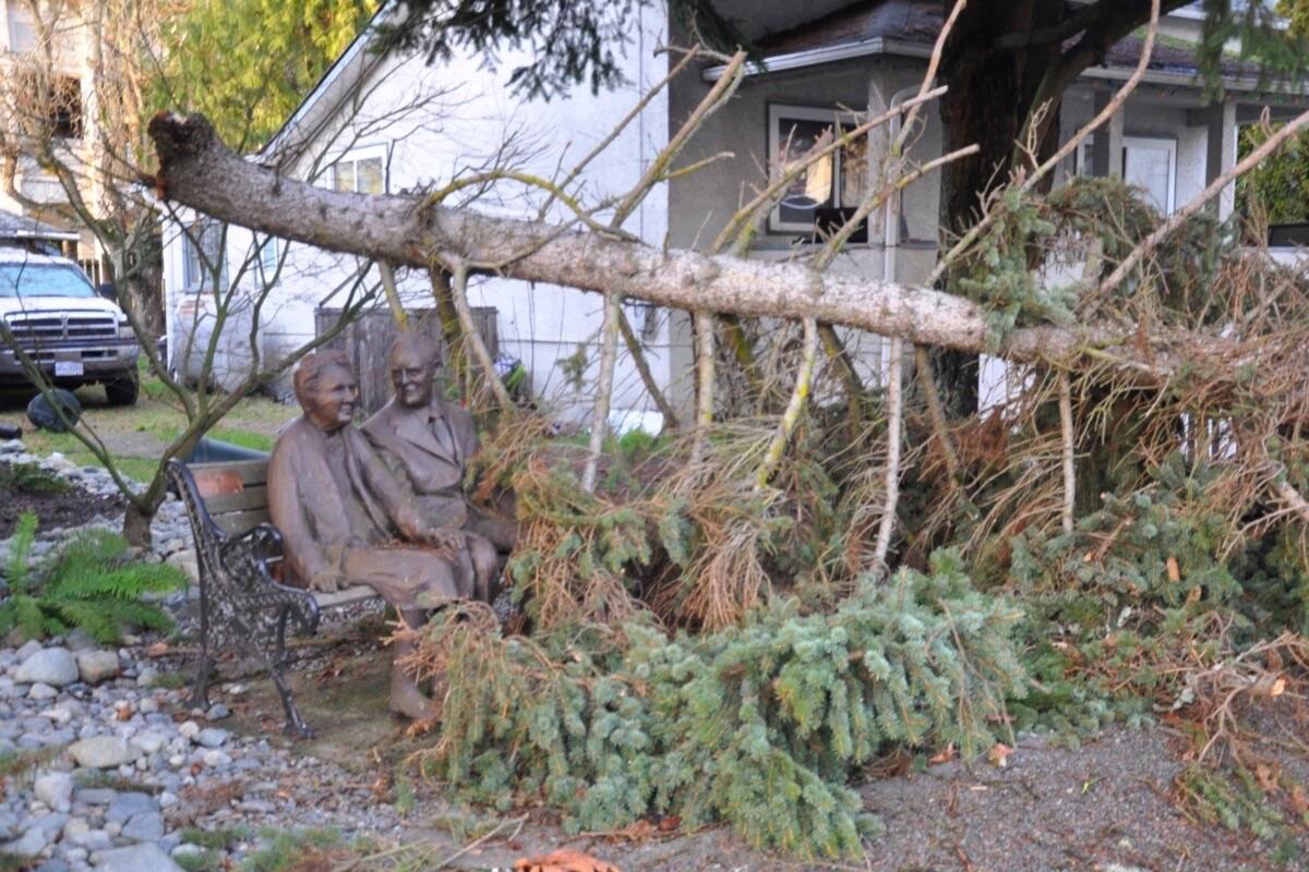editorial-what-s-the-worst-winter-storm-you-remember-cowichan