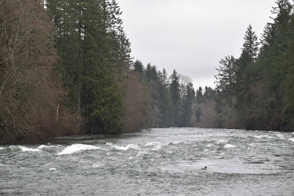web1_220118-cvr-n-river-1_1