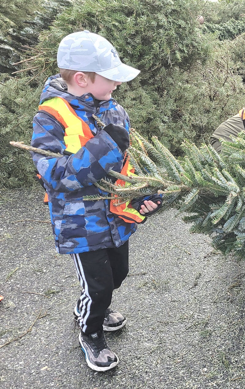 web1_230103-lat-df-tree-chipping-scout_1