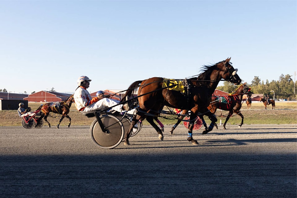 web1_230921-clr-harnessracing_2