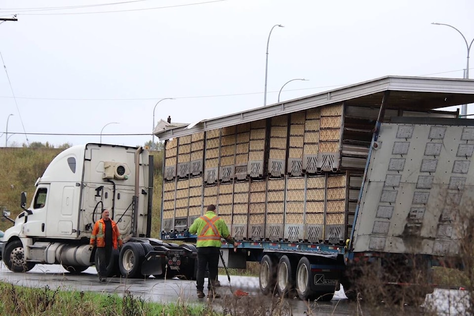 A semi truck pulling a trailer was damaged when it collided with the rail overpass in the westbound lanes of Hwy 1 near 232nd Street through 91ԭ on Oct. 24. (Shane MacKichan/Special to 91ԭ Advance Times) 