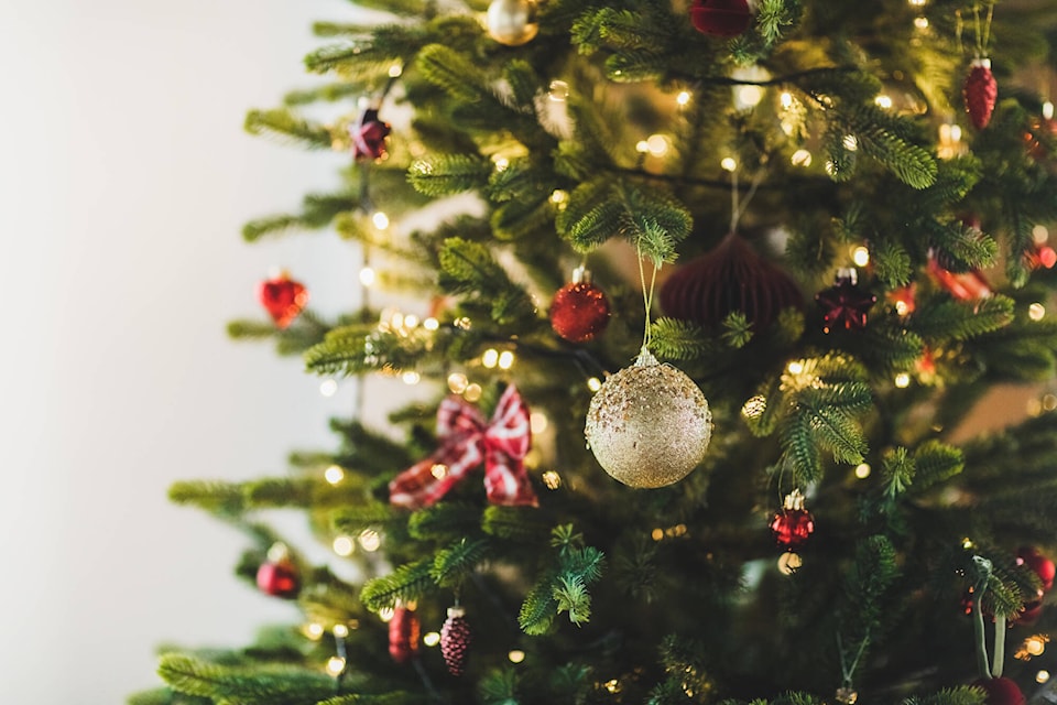 Nature Conservancy of Canada hosts x-mas tree harvesting event near Pine Lake