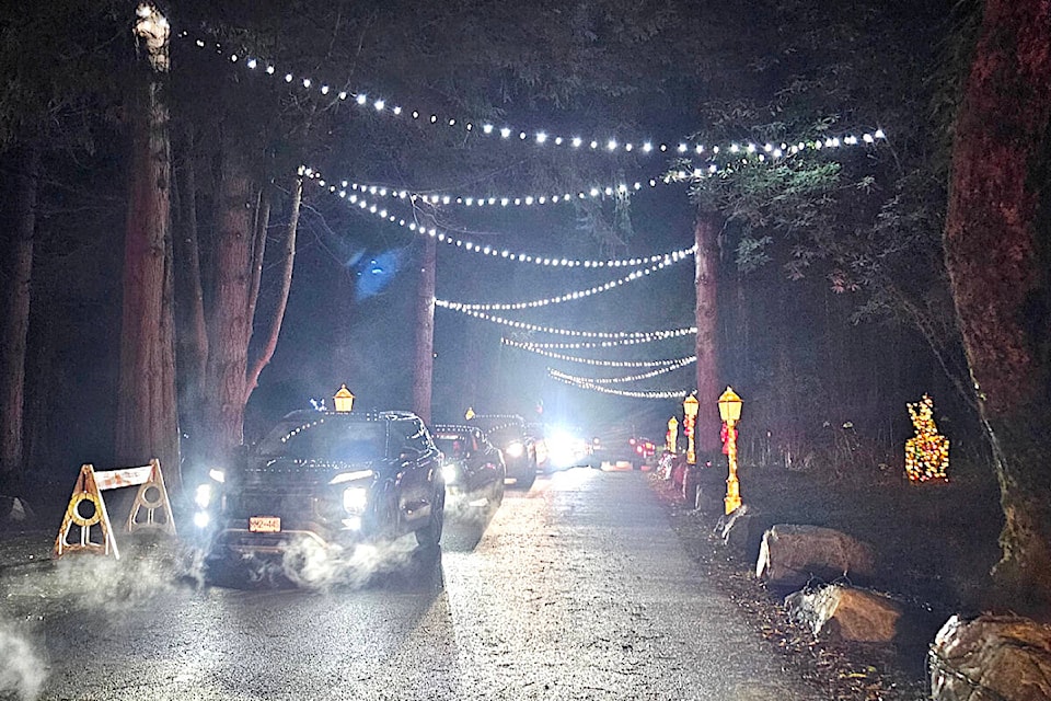  After a surge in traffic that saw more than 1,000 vehicles visit the drive-through Christmas at Williams Park light show in 91ԭ, traffic control will be brought in to help neighbours, an organizer promised. (Dan Ferguson/91ԭ Advance Times) 