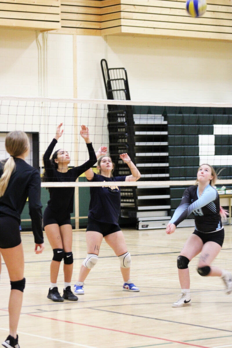 web1_231207-omh-panthers-volleyball-_4