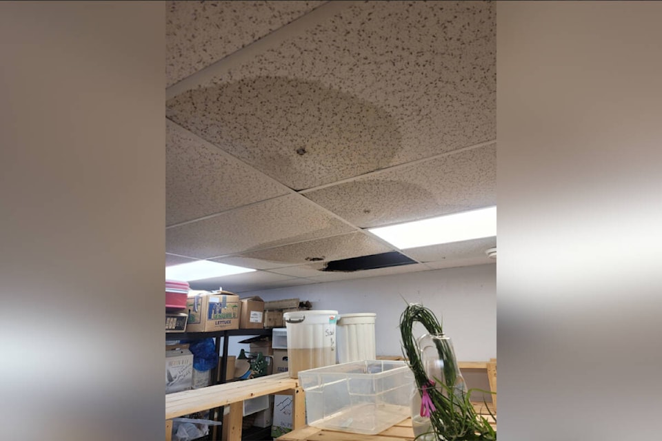The Animal Auxiiliary Thrift Store in downtown Vernon opened to a leaking roof and significantly water-damaged merchandise Tuesday, Dec. 5. (Contributed) 