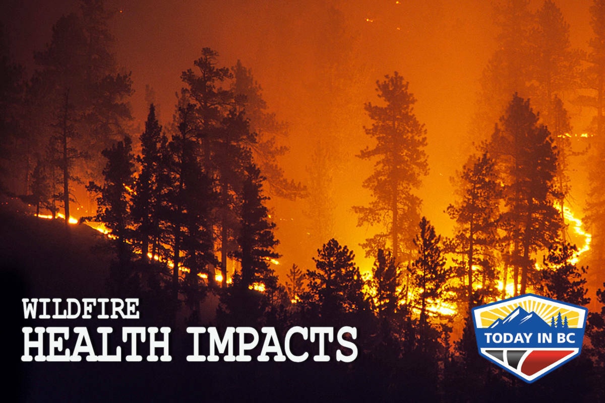 reaching health consequences of B.C.โs wildfires ... Biology Diagrams