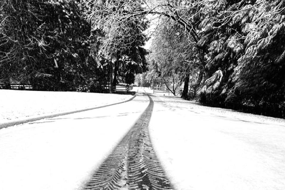 web1_231214-lat-rh-lensphillipssnow-lois_2