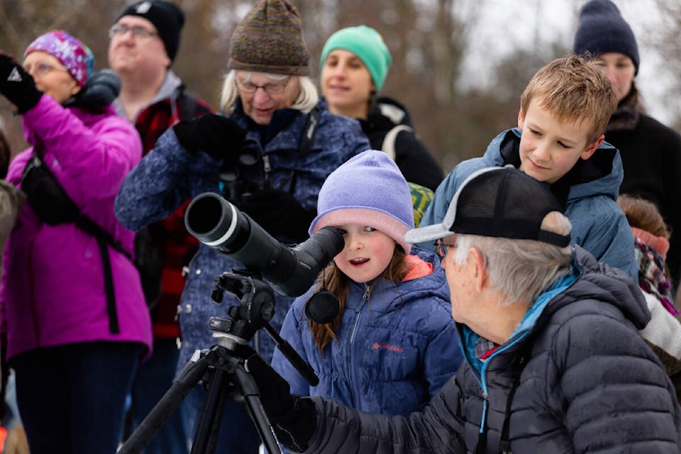 Ellie Ward has a look through a spotting scope, assisted by John Woods, during the Salmon Arm NatureKids BC club’s Christmas Bird Count 4 Kids walk at the Foreshore Trail on Sunday, Dec. 10, 2023. (Kayleigh Seibel Photography) 
