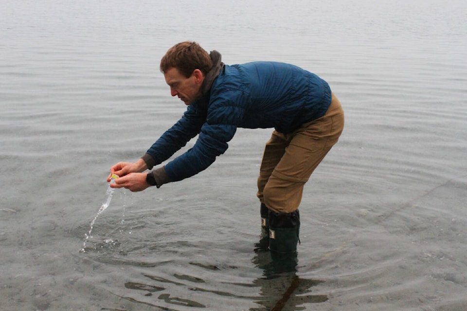 Clive Webber takes a water sample at Willows Beach. (Ella Matte/News Staff) 