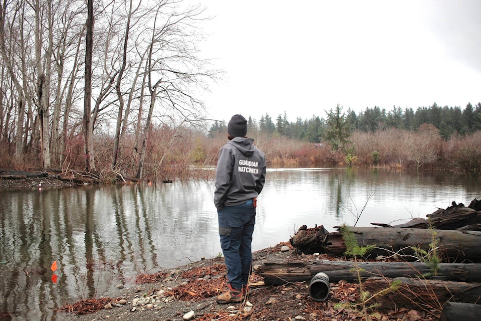 Jordan Labbe looks over the Mill Pond area in Campbell River. Labbe works with the We Wai Kum Guardians, who is a partner with Greenways Land Trust on the restoration project. Photo by Marc Kitteringham/Campbell River Mirror 