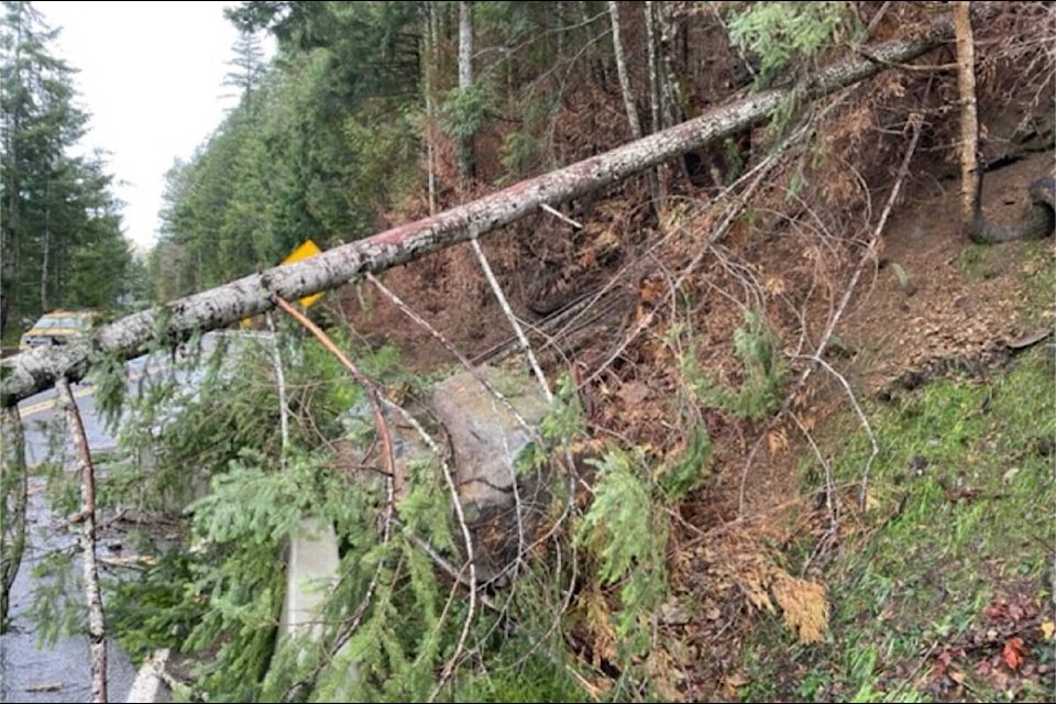 A tree and two boulders were dislodged from Cameron Bluffs, forcing closure of Highway 4 east of Port Alberni on Christmas Day. (MINISTRY OF TRANSPORTATION AND INFRASTRUCTURE PHOTO) 