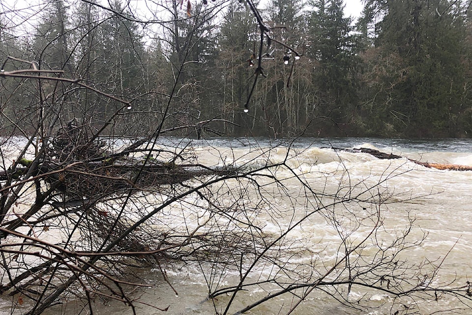 The waters of the Quinsam and Campbell rivers merge just below their confluence as heavy rains in late December force BC Hydro to manage flow from the John Hart Dam by releasing water. Photo by Alistair Taylor/Campbell River Mirror 
