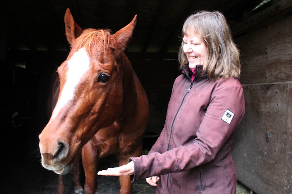 Metchosin councillor Shelly Donaldson feeding her horse, Heidi on her farm. (Ella Matte/News Staff) 