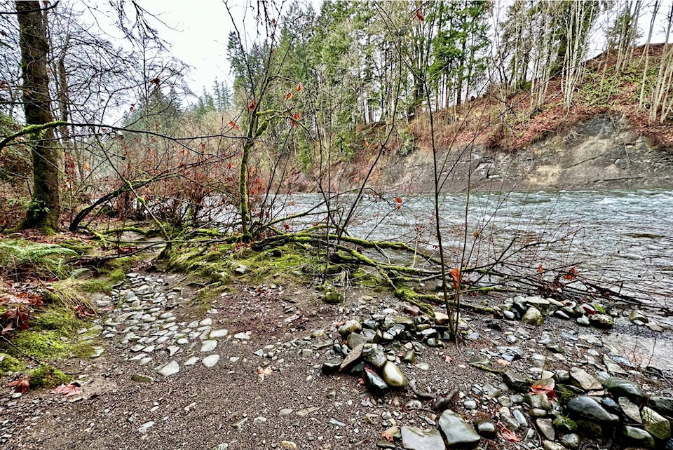 web1_240103-cvr-c-bchydro-bearjames-park-1_1