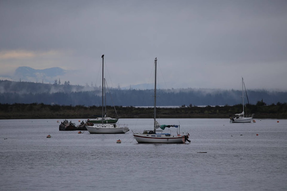 Comox harbour boats on private orange and white regulation mooring balls. Photo by Barb Thomson 