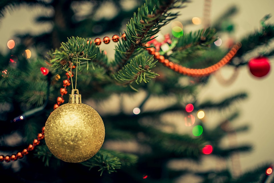 web1_christmas-tree
