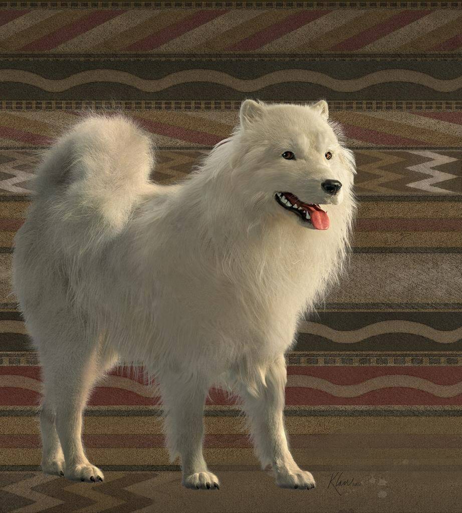 Salish wool dog blanket best sale