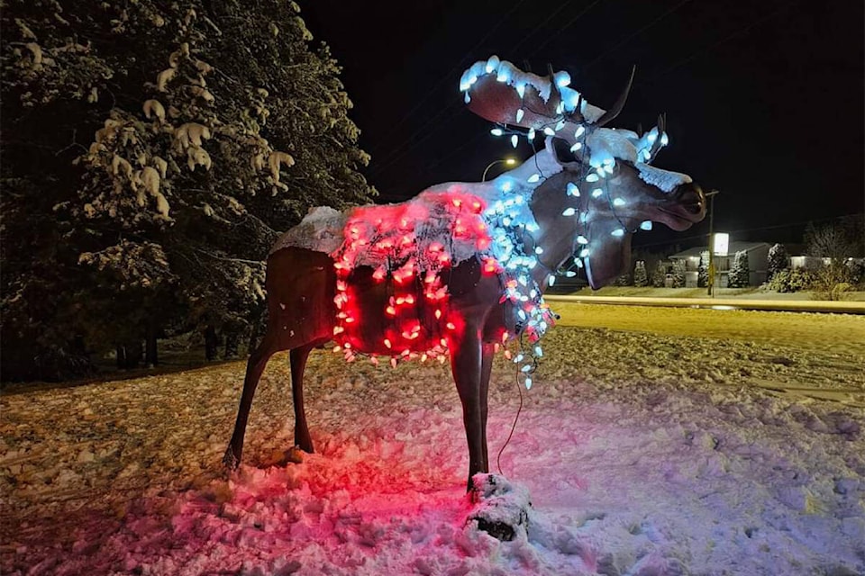 web1_rsz-jerry-the-moose-facebook_1701670888156_7137325012876691692