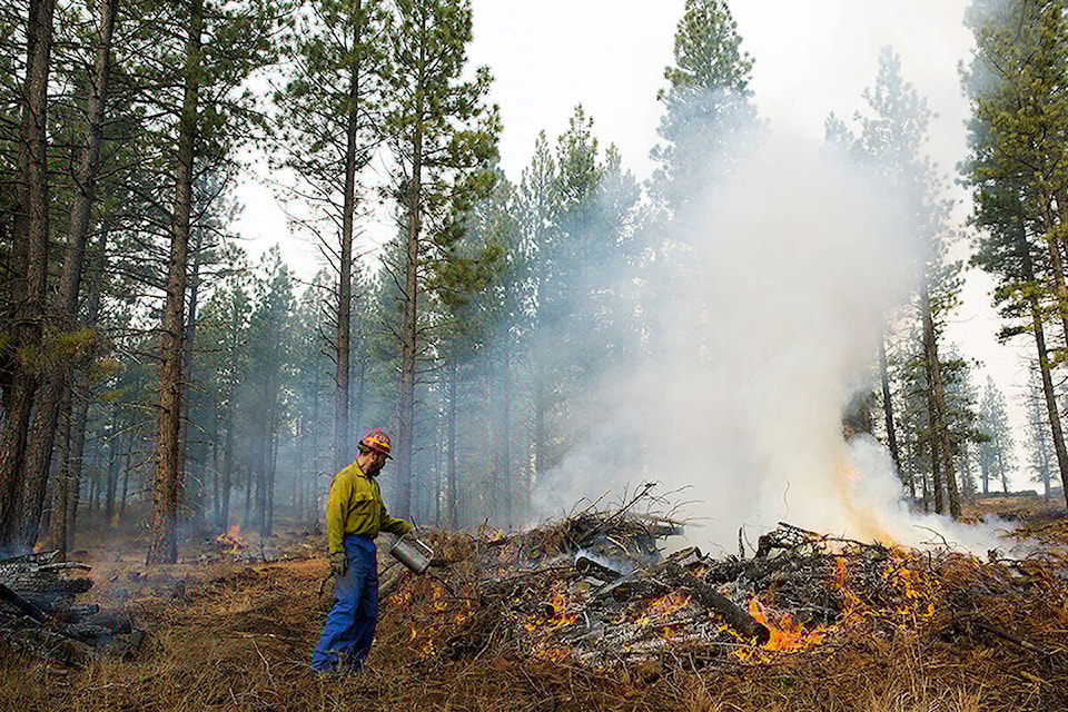 web1_190429-wlt-burnpile