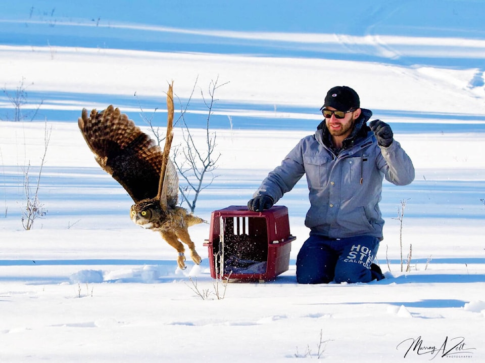 web1_230406-omh-lucy-owl-release_6