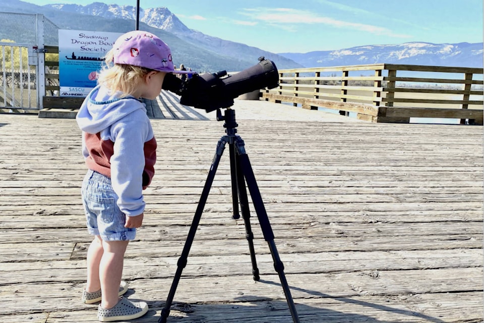 A budding birder peers through one of the spotting scopes available to use for the first of five Birding for Families events held at the wharf at Salmon Arm’s Marine Peace Park on Sunday, April 30, 2023. (John G. Woods photo) 