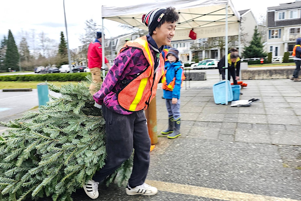 Scout Andrew Yi, 13, was smiling as he unloaded a Christmas Tree on Saturday, Dec. 30 at the First Walnut Grove troops annual tree chipping fundraiser, which raised $2,000. (Dan Ferguson/91ԭ Advance Times) 