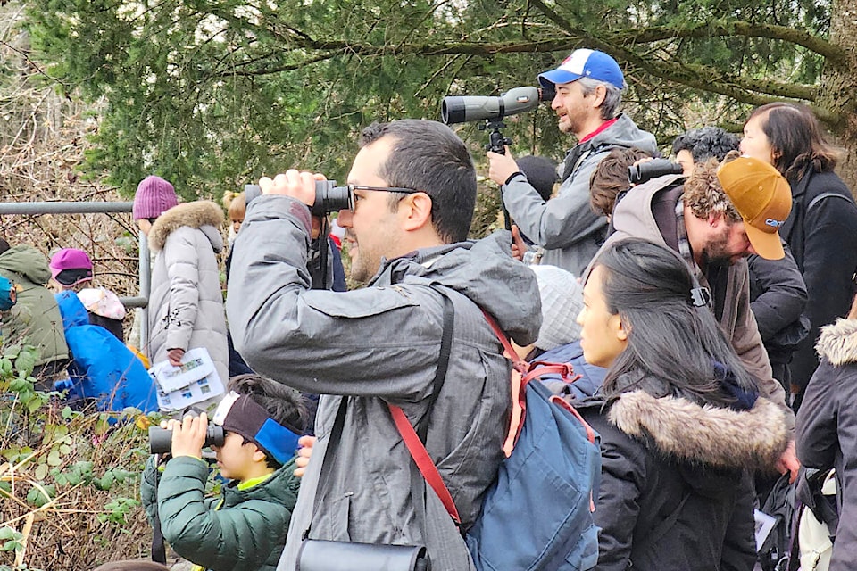  More than two dozen kids and parents turned out for the sixth annual bird count at Langley City’s Brydon Lagoon, a free event organized by the Langley-based Explore Science Club. (Dan Ferguson/Langley Advance Times) 