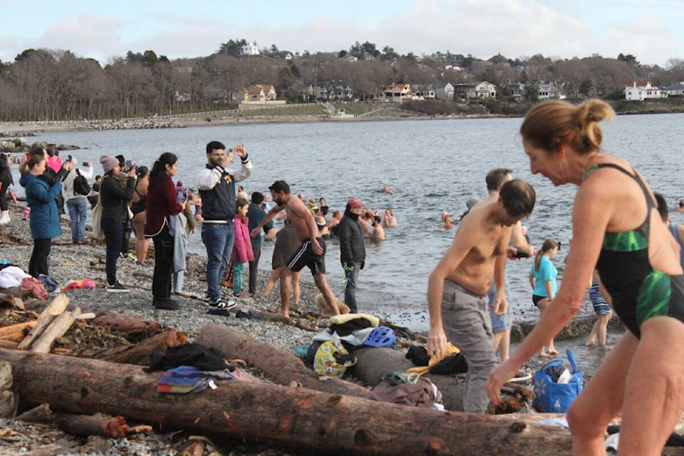 Swimmers at Dallas Road Beach brave the freezing water at this year’s Polar Bear Swim.(Thomas Eley/ News Staff) 