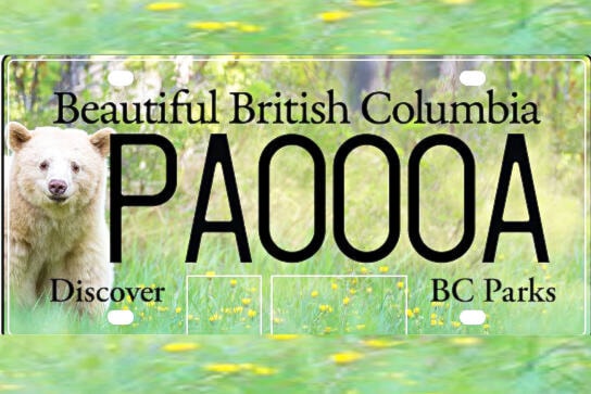 A Kermode bear licence plate is one of three specialty BC Parks plates currently being offered, and ICBC is now asking drivers if they would like to see more. (Photo credit: ICBC) 