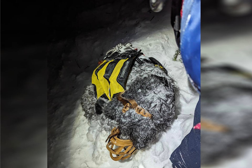 Two teens and a dog were rescued off a snowy trail near Eagle Mountain on Saturday night (Jan. 6) after they lost the path and fot lost in deep snow. (North Shore Rescue/Facebook) 