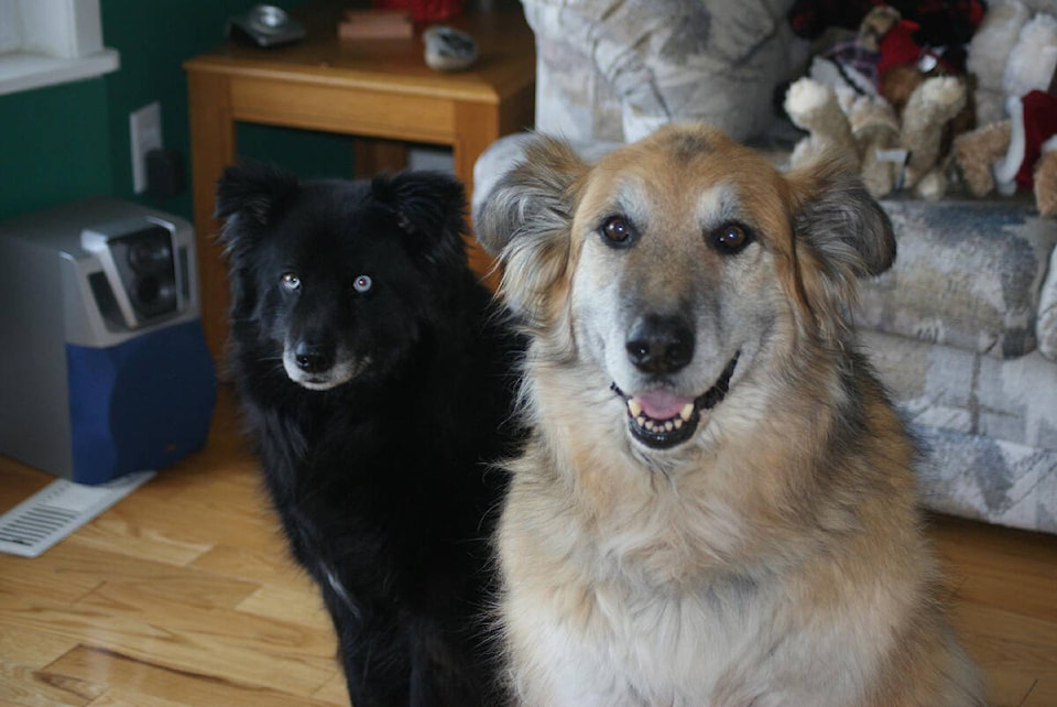 web1_240110-cvr-petpage-sranimals-1_1