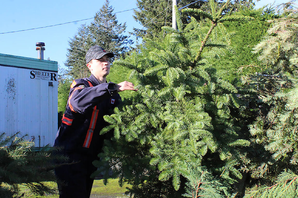 Ladysmith Fire Rescue collects Christmas trees for chipping Ladysmith