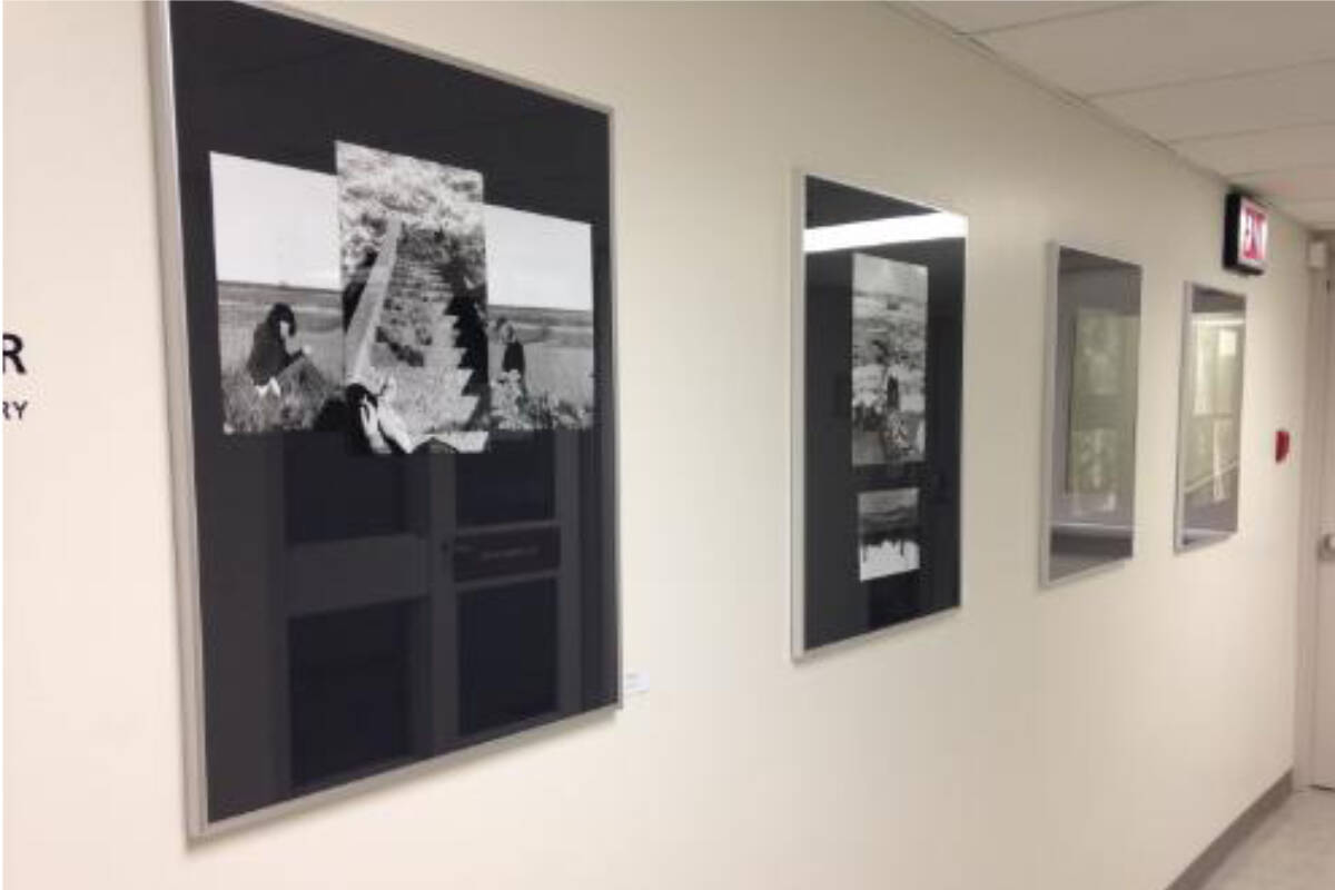 Artists sought for gallery in Red Deer Recreation Centre Red Deer