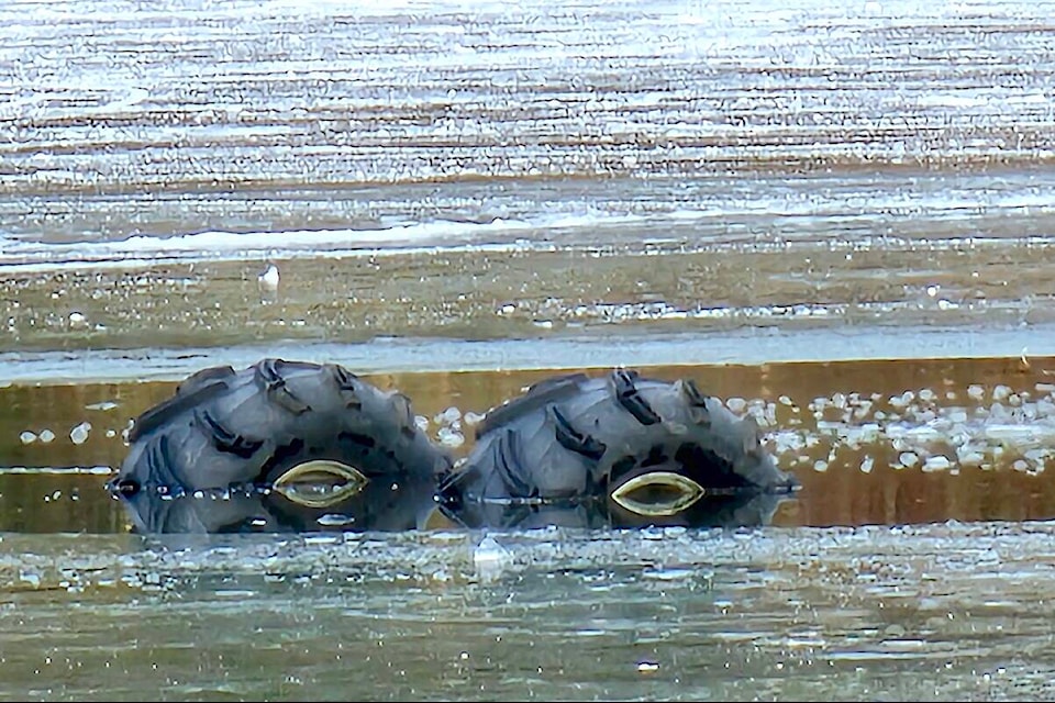 An ATV went through the ice at Brydon Lagoon on Tuesday, Jan. 16. (Dan Ferguson/91ԭ Advance Times) 