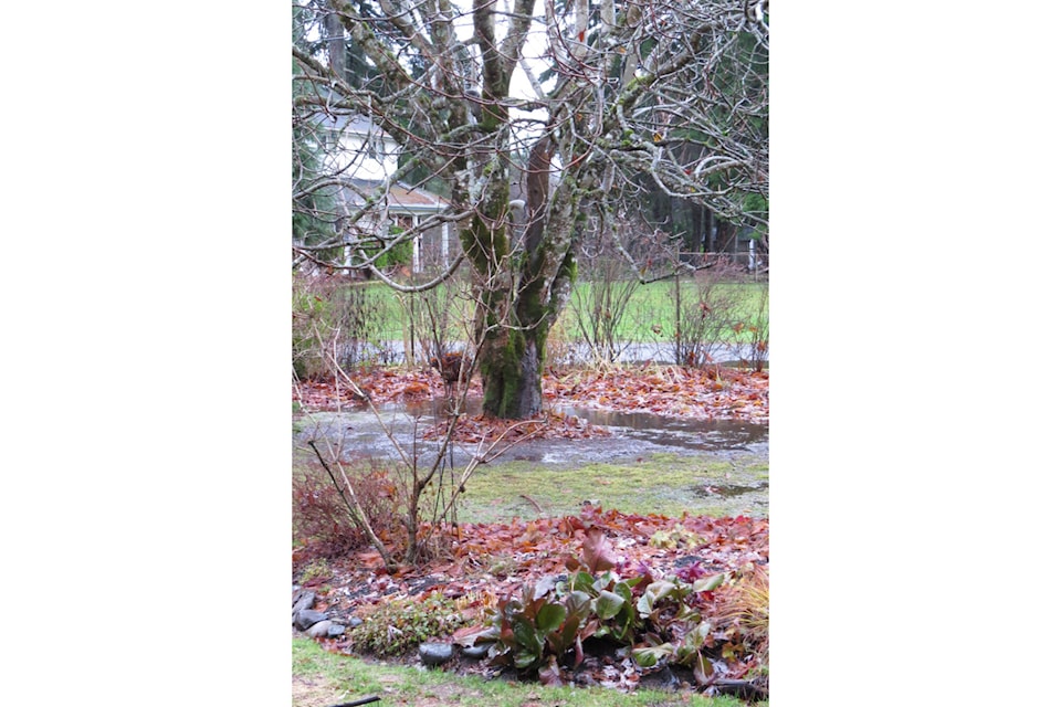 web1_240117-cvr-f-duchess-1_1