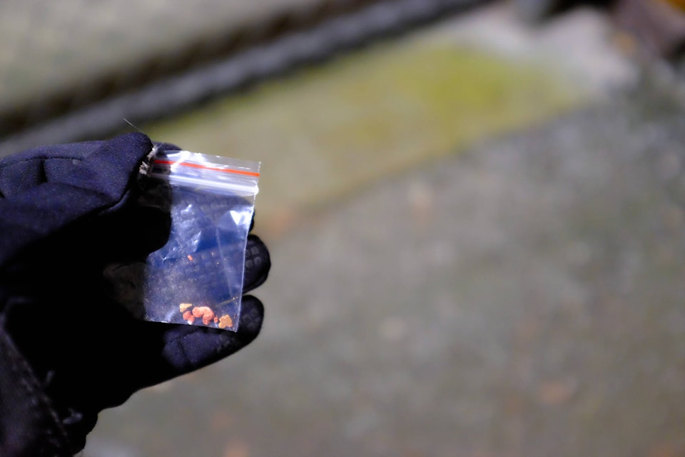 11:35 p.m. - A small plastic bag containing fentanyl, also nicknamed ‘down,’ was found on the ground in front of Courtenay’s warming center located at the Native Sons Hall. (Olivier Laurin / Comox Valley Record) 