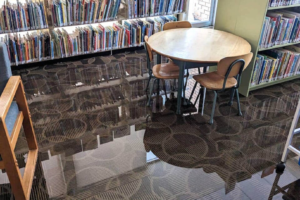 web1_240117-pwn-libraryflood_1