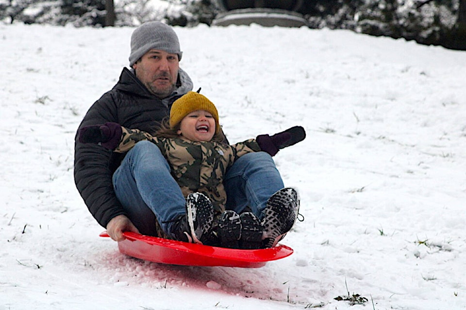 Sledders hit the slopes at Beacon Hill Park on Jan. 17 after Victoria was hit by a snowstorm. (Jake Romphf/News Staff) 